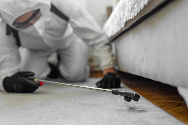 Professional Bed Bug Control technician working in Broxton, GA