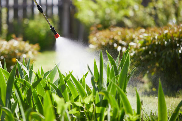 24/7 Emergency Bed Bug Control experts in Broxton, GA