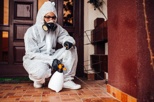 Reliable Bed Bug Control contractor in Broxton, GA by Nex Pest Control