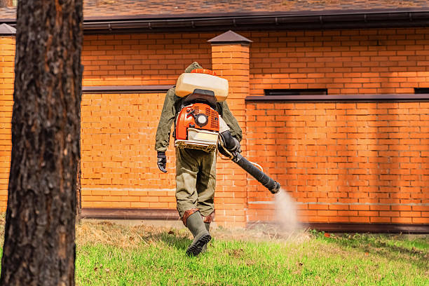 Trusted Cockroach Control service in Broxton, GA - Nex Pest Control